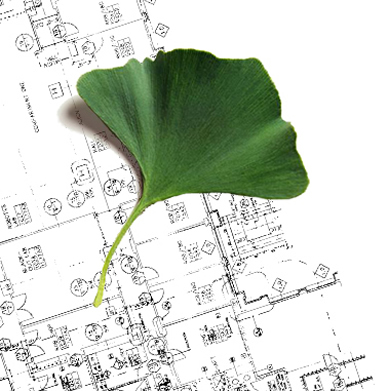 (Image of leaf over blueprint)